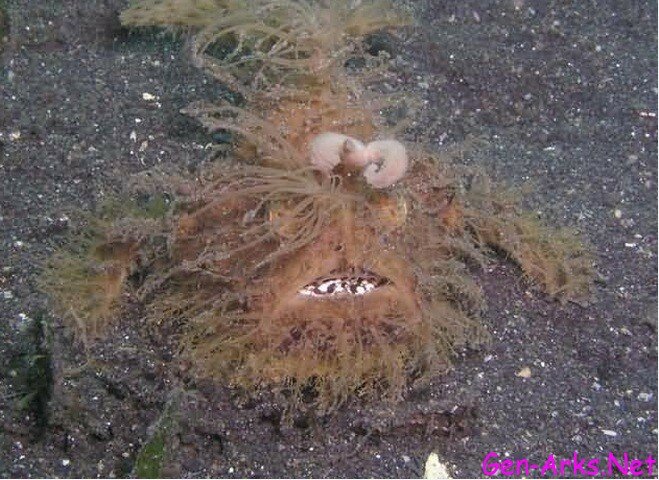 ilginc-hayvanlar-foto-galerisi-7